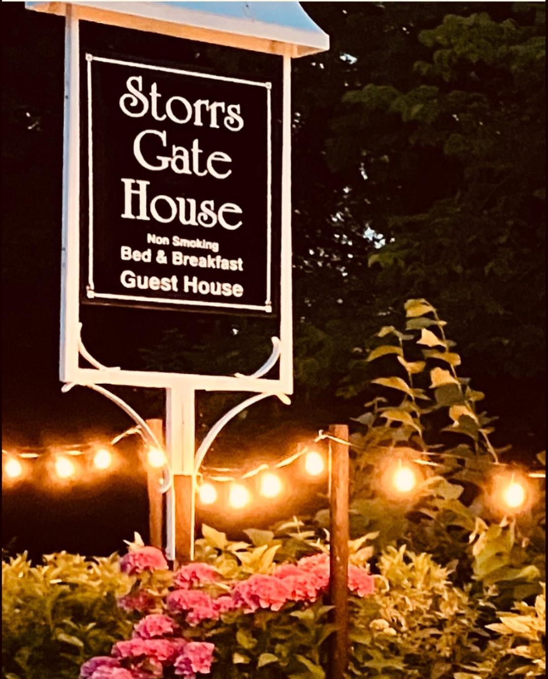 Storrs Gate House Bed & Breakfast โบว์เนส ออน วินเดอเมียร์ ภายนอก รูปภาพ